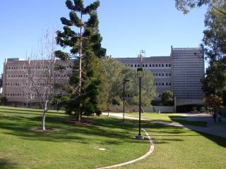 Biomedical Sciences Building/Basic Sciences Building (BSB)